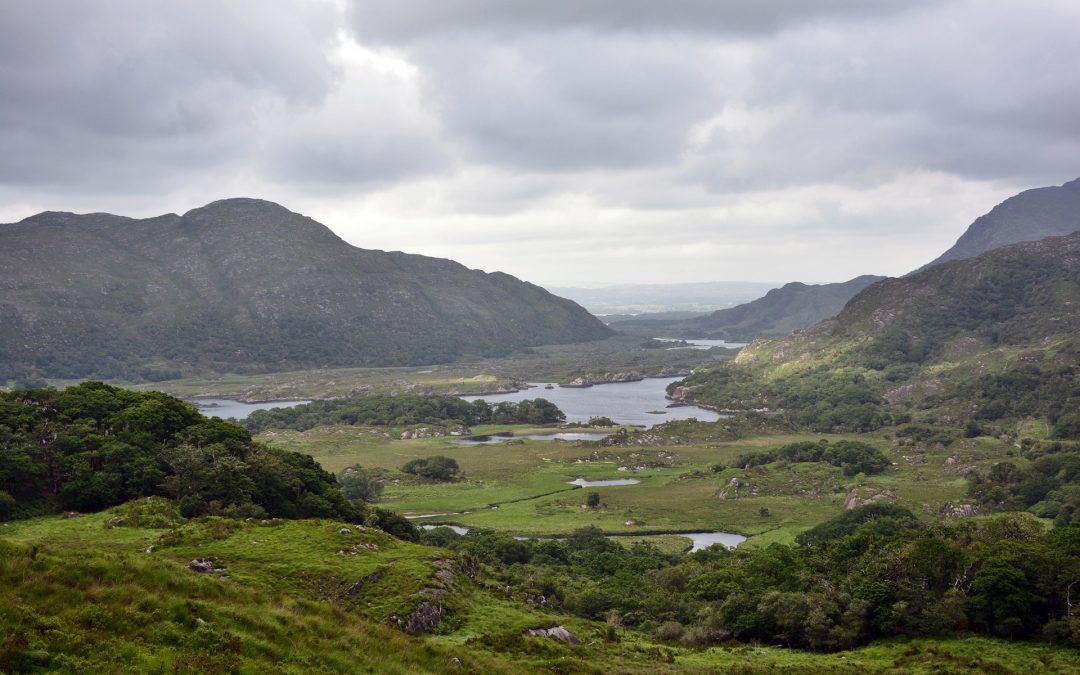 Praktikum im Killarney Nationalpark