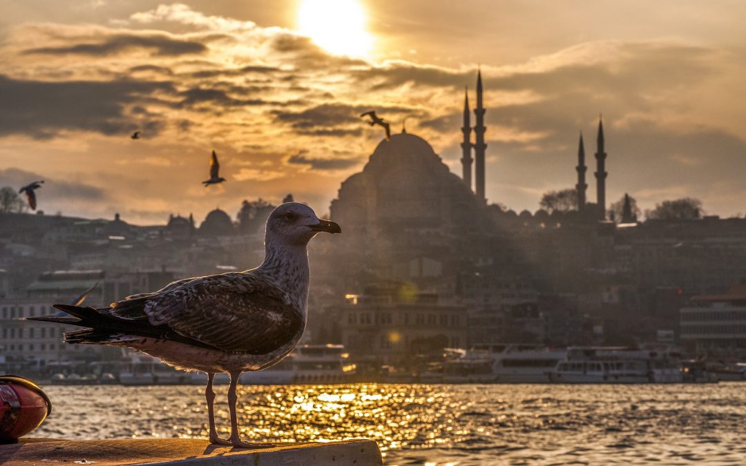 Praktikum in Istanbul im Rahmen des Roots-Programms der Universität Bremen