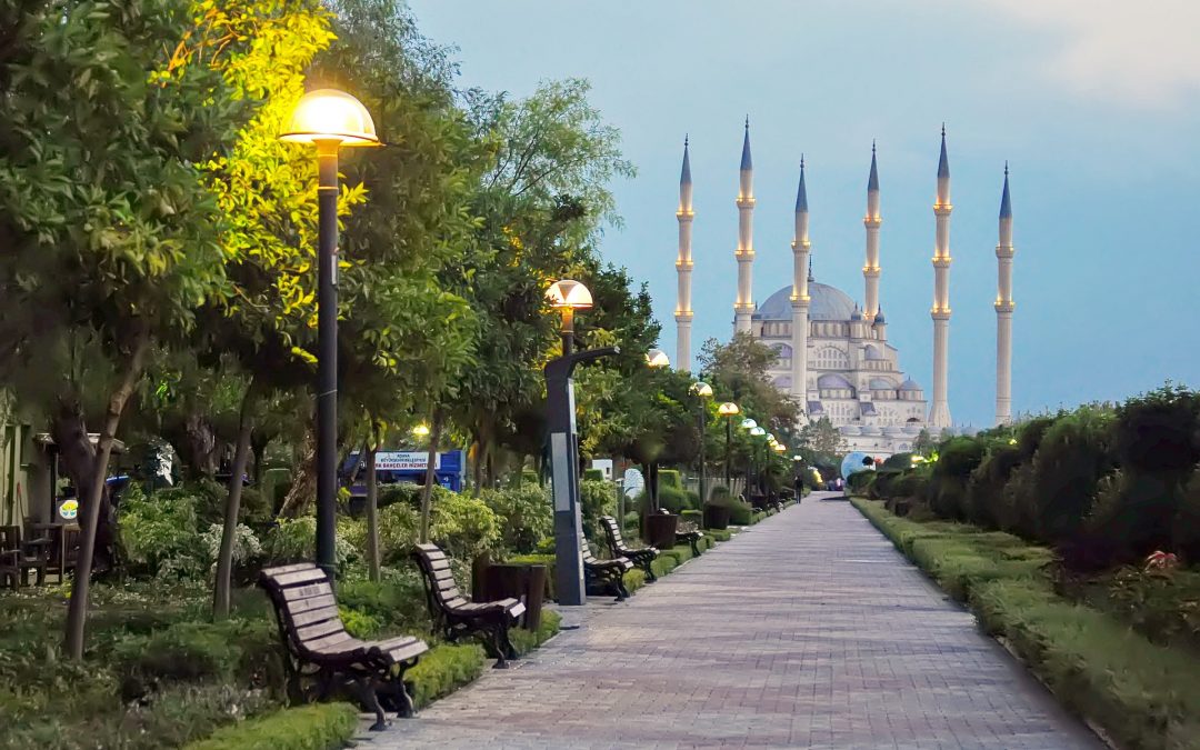 Praktikum bei einer türkischen NGO im Rahmen des Roots-Programms der Universität Bremen