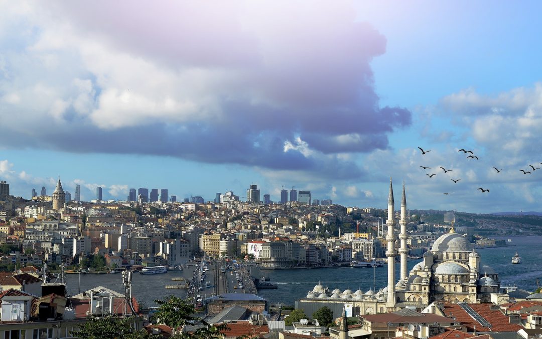 Praktikum in Istanbul bei IHD, Human Rights Association, Studienfach Psychologie