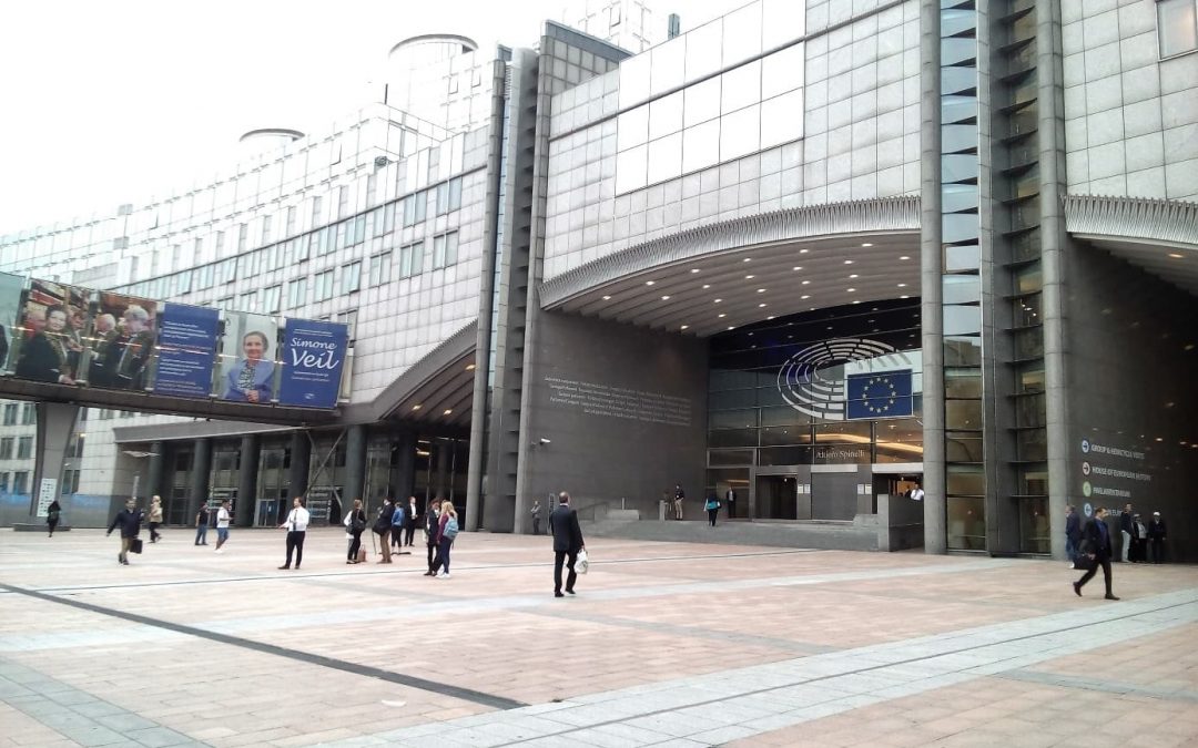 Praktikum beim Auslandsbüro der Heinrich Böll Stiftung in Brüssel