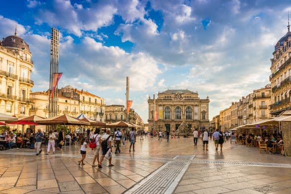 Montpellier – Praktikum im Institut für Ökologie