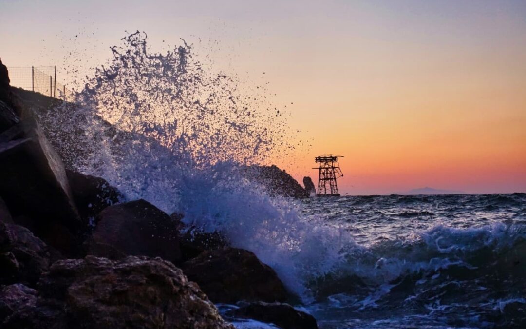 Praktikum am Institut für Marine Biologie auf der Isola del Giglio