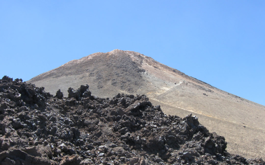 Erasmus Biologie-Praktikum an der Uni auf Teneriffa