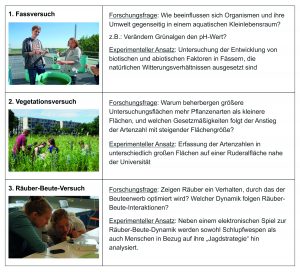 Abbildung 2: In den drei im Kurs durchgeführten Hauptversuchen wird der Forschungsprozess angeleitet eingeübt. Die hier aufgeführten Forschungsfragen und experimentellen Ansätze sind exemplarisch und stark vereinfacht dargestellt und beruhen auf dem im Sommersemester 2016 durchgeführten Kurs.