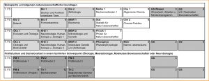 Abbildung 1: Muster-Studienverlaufsplan des Vollfachs des Bachelor-Studiengangs Biologie. Für alle Fachsemester (FS) sind alle Module mit den dazugehörigen CP dargestellt. Hellgrau: biologische Grundlagenmodule, weiß: naturwissenschaftliche Grundlagenmodule, dunkelgrau: Profilmodule (Ökologie, Meeresbiologie, Molekulare Biowissenschaften oder Neurobiologie), mittelgrau: General Studies (GS). Detaillierte Informationen zu den Modulen finden sich in den jeweiligen Modulbeschreibungen auf den Internetseiten des Fachbereichs (http://www.uni-bremen.de/fb2.html).