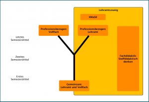 Abbildung 3: Lehrveranstaltung im „Y-Modell“