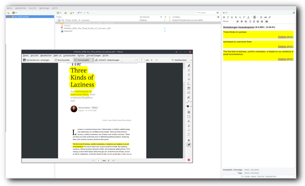 Screenshot von Zotero und einer PDF aus der Anmerkungen als Zotero-Notizen automatisch übertragen wurden